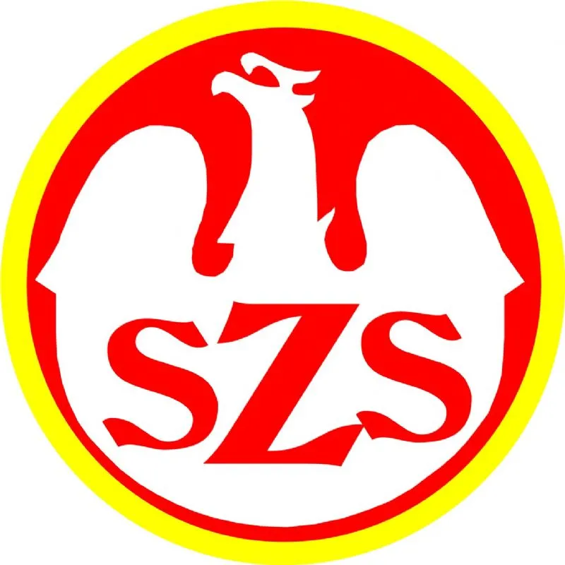 Drużynowe Mistrzostwa Polski Szkół 2016/17