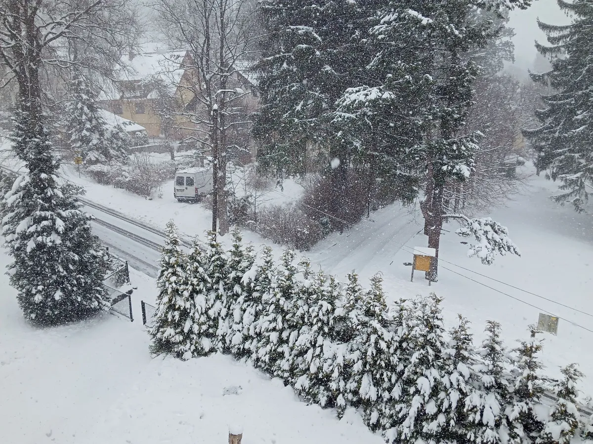 MPJ do lat 16 i 18: Trener Perdek o 5. rundzie